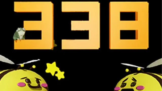 338338 cover