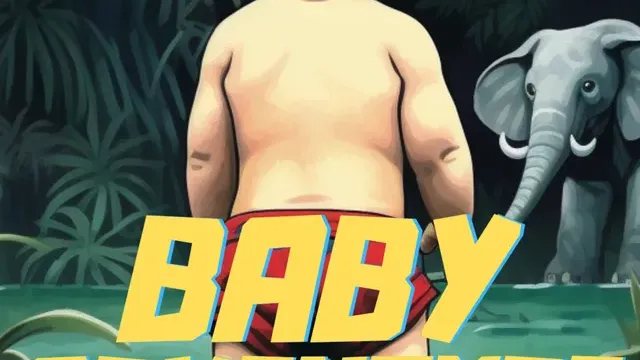 Baby Adventure cover