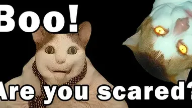 BOO! ARE YOU SCARED? cover