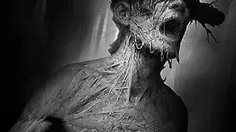 Darkwood cover