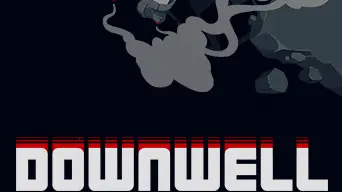 Downwell cover