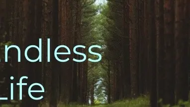 Endless Life cover