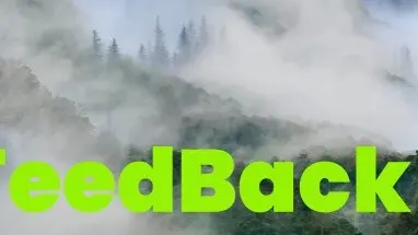 FeedBack cover