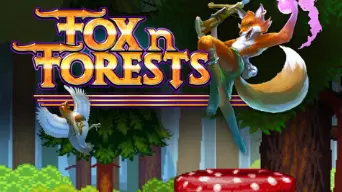 FOX n FORESTS cover