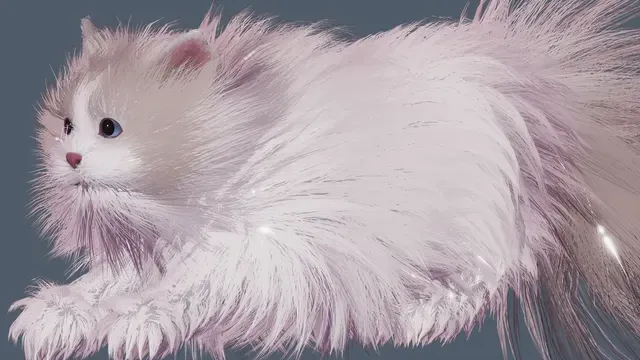Get a cat cover