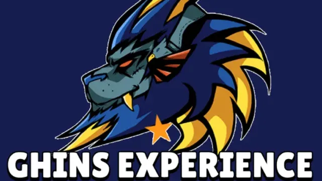 GHINS_Experience cover