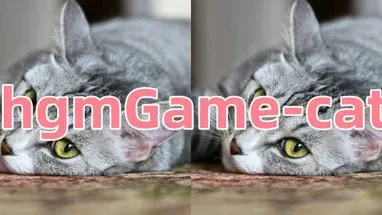 hgmGame-cat cover