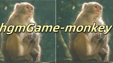 hgmGame-monkey cover