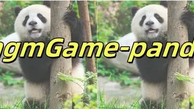 hgmGame-panda cover