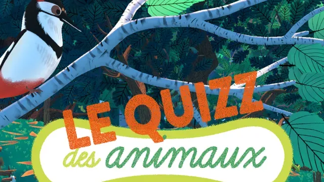 Le Quizz des animaux cover