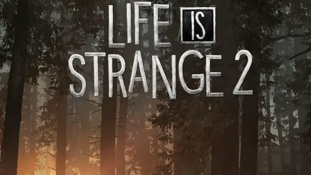 Life Is Strange 2 cover