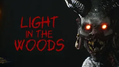 Light in the woods cover