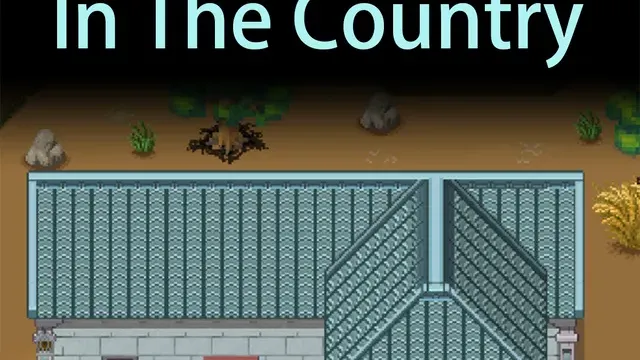 Live In The Country cover