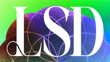 LSD: Dream Emulator Retro cover