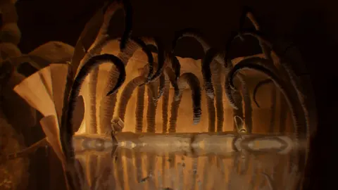 Papetura screenshot
