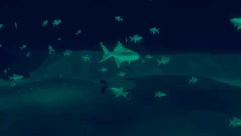 Penguin Colony screenshot