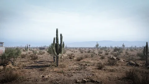 ABOVE screenshot