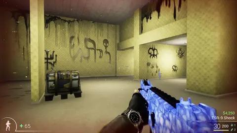 Backrooms Dead Rush screenshot