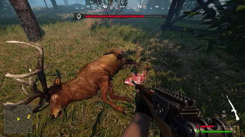 Bigfoot Hunting screenshot
