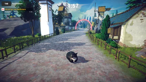 Cat Karting screenshot