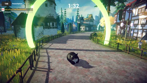 Cat Karting screenshot