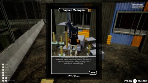 Cats Ritual screenshot