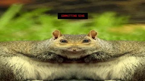 Squirrel Stapler screenshot