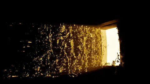 DEPRISION screenshot