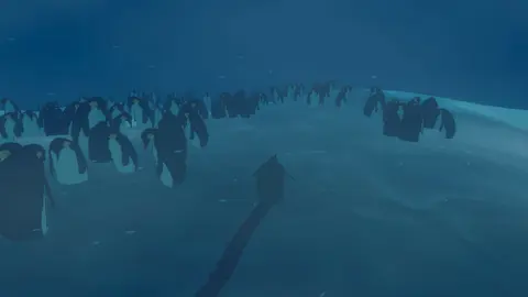 Penguin Colony screenshot