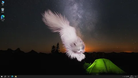 Get a cat screenshot