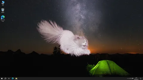 Get a cat screenshot