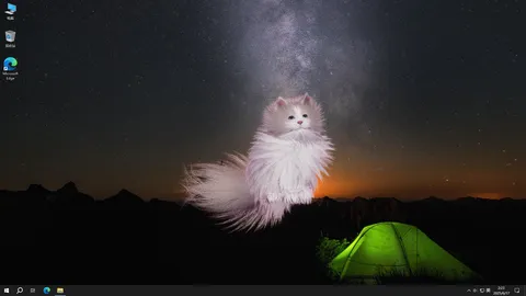 Get a cat screenshot
