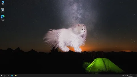 Get a cat screenshot