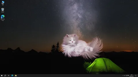Get a cat screenshot