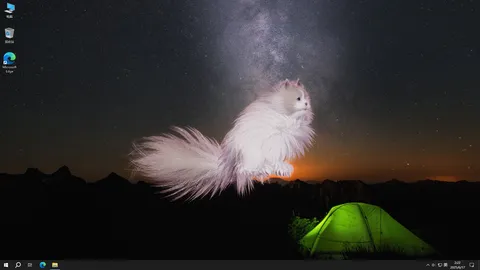 Get a cat screenshot