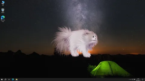 Get a cat screenshot