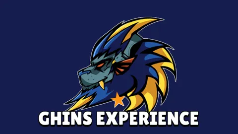 GHINS_Experience screenshot