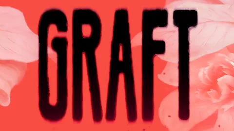 GRAFT screenshot