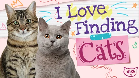 I Love Finding Cats screenshot