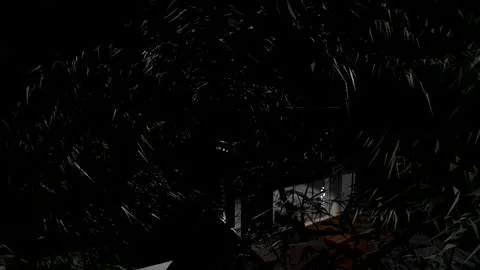 Jumpscare screenshot