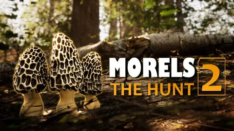Morels The Hunt 2 screenshot