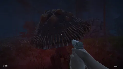 MUSHROOMAN screenshot