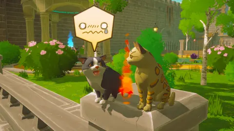 Pawbay screenshot