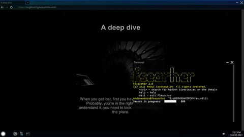 Project DeepWeb screenshot