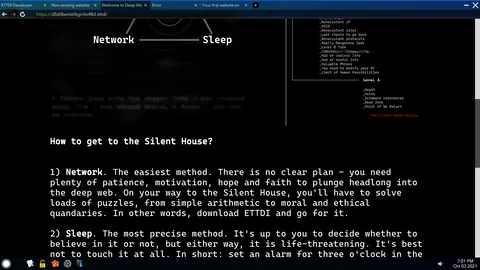 Project DeepWeb screenshot