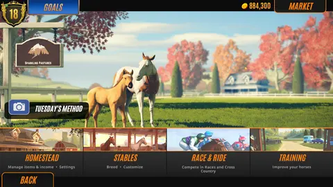 Rival Stars Horse Racing : Desktop Edition screenshot