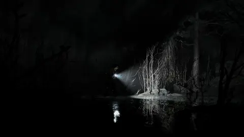 Silver Pines screenshot