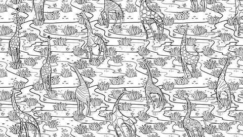 Animal Pattern screenshot