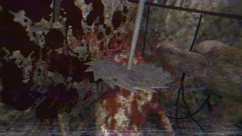 Ines screenshot