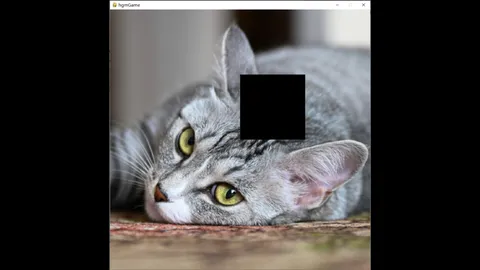 hgmGame-cat screenshot